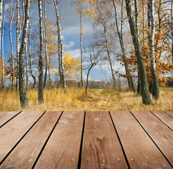 Naklejka na ściany i meble empty wooden deck table in the park.