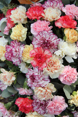 Pastel carnations