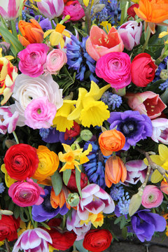 Spring flowers in bright colors