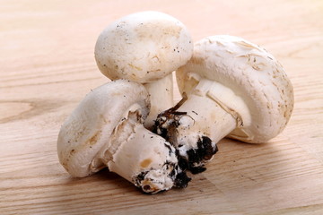 Funghi prataioli