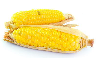 corn on white background