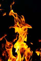 Fototapeta premium Fire flames on a black background