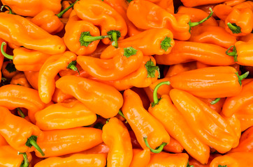 Orange peppers at the market