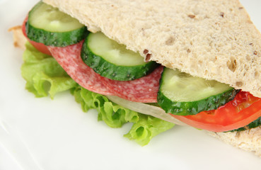 Tasty sandwich with salami sausage and vegetables