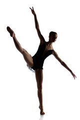 Female ballet dancer - 56928896