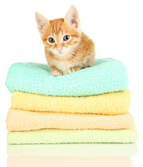 Cute little red kitten on towels isolated on white