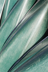 Obraz premium Bottoms of overturned canoes