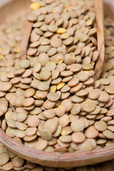 green lentils in a bowl, close-up