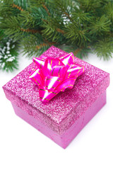 pink gift box and spruce branches, isolated