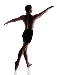 Fototapeta premium Adult male dancer