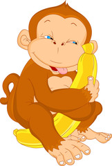 cute monkey with banana