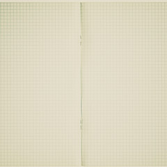 Blank page