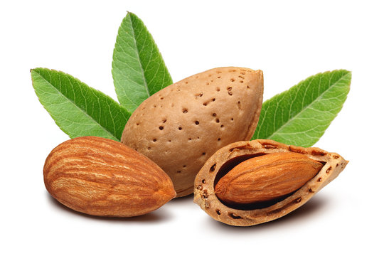 Almond