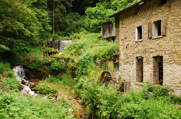 Fototapeta na wymiar Abandoned Mill Near Salino