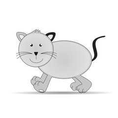 Grey cat
