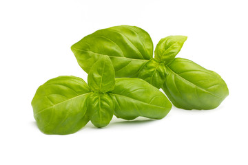 Basil.