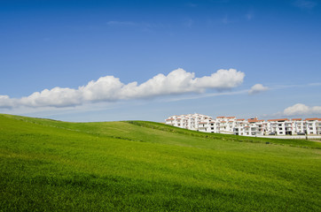 White Houses in the Great Landscape