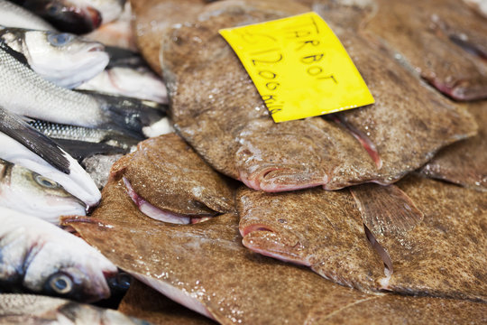 Steinbutt auf dem Fischmarkt