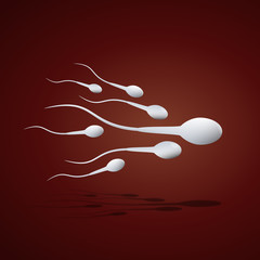 Vector Sperm