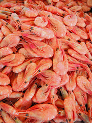 Viele Shrimps auf dem Fischmarkt