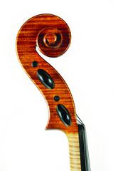 violino riccio strumento musicale