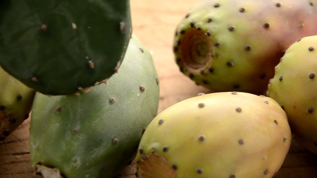 Prickly pear Fichi d'india Chumbera