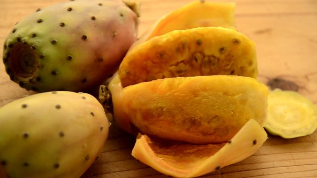 Prickly pear Fichi d'india Chumbera