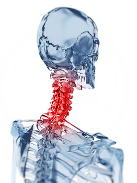 3d rendered illustration of a glass skeleton