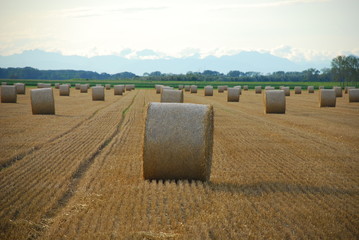 Circular Hay Bales