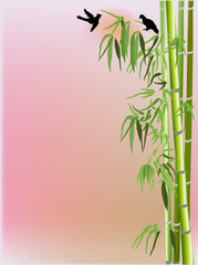 grüner Bambus und zwei kleine Vögel