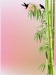 Foto auf Acrylglas Vögel im Wald grüner Bambus und zwei kleine Vögel