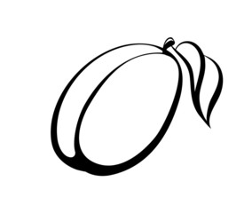 Vector monochrome illustration of plum logo.
