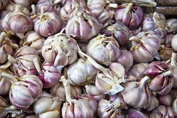 Garlic for seasoning