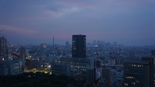 東京眺望  ピンク色に染まる夕景 イメージ（新宿方面を望む）