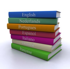 Multilingual dictionary