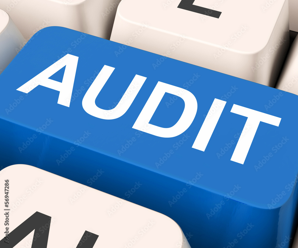 Poster audit key means validation or inspection.