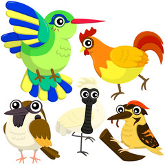 five colorful cute birds with white background
