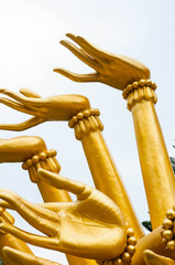 Hand of buddha