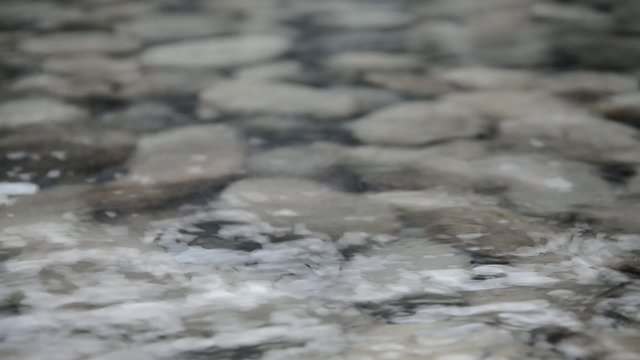56949611