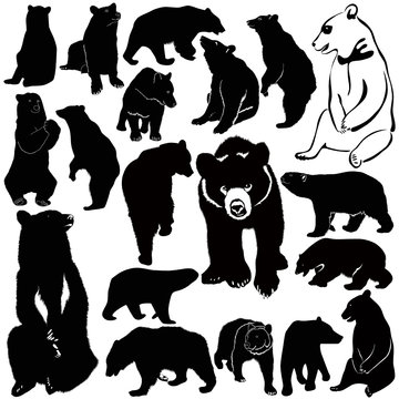 collection of animal vector bears