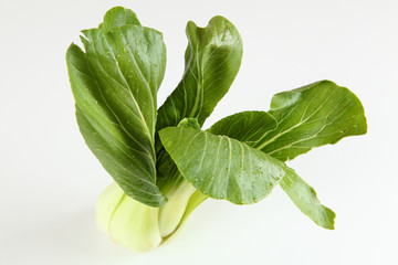 Pak Choi