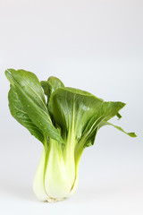 Pak Choi