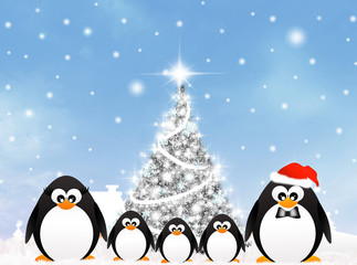 Penguins at Christmas