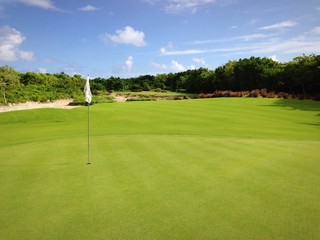 Fototapeta premium Golf Green
