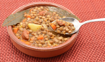 Brown lentil stew in bowl with vegetable