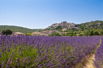Provence countryside