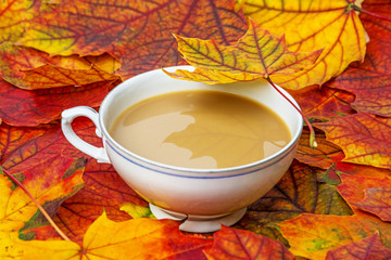 autumn tea