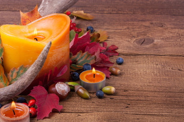 Herbstdekoration mit Geweih auf Holz - Textfreiraum