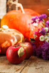 Thanksgiving day concept