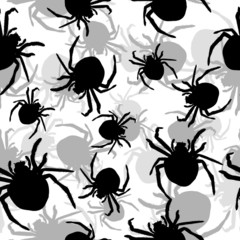 Background with spiders